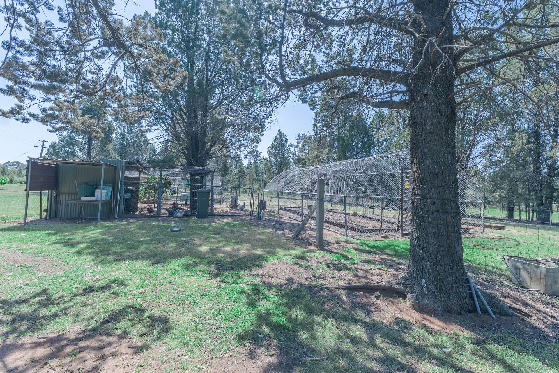36R Peak Hill Road, Dubbo For Sale by Farmbuy.com - image 18