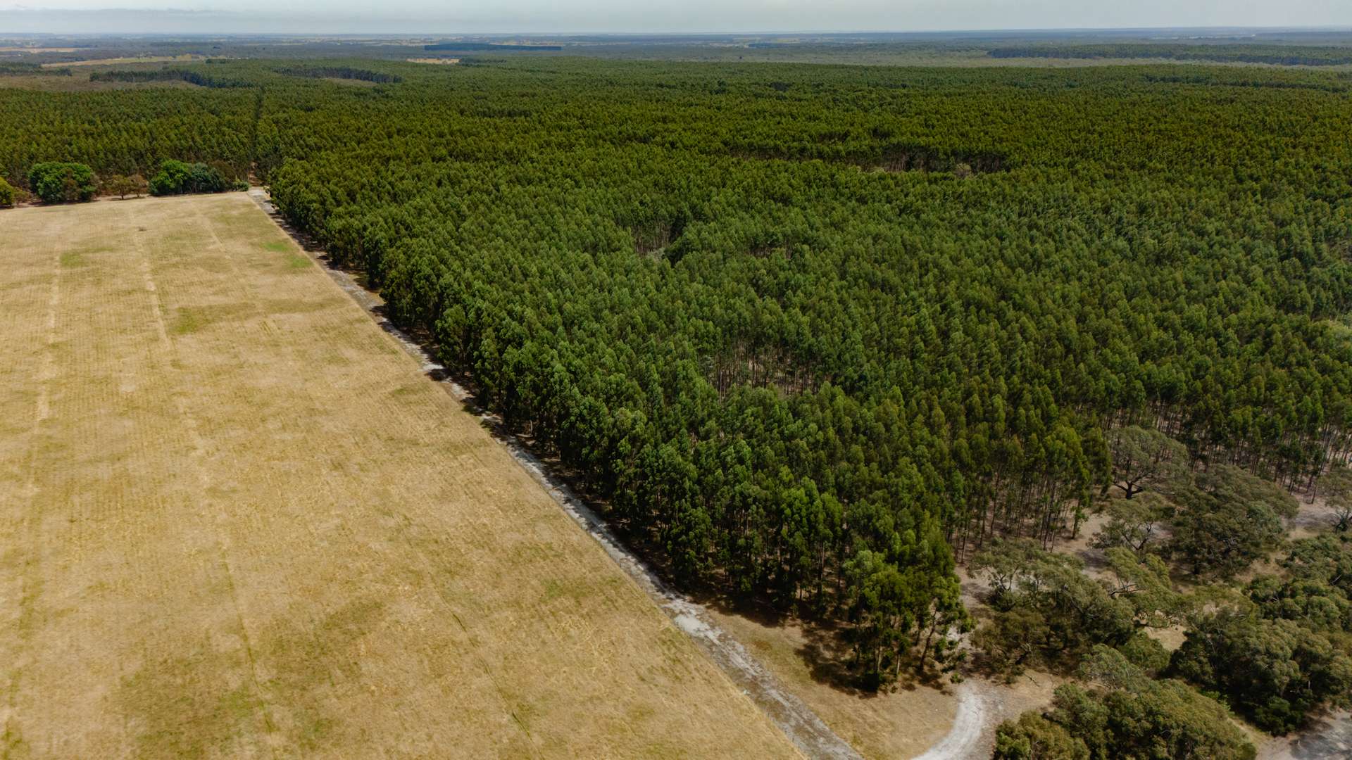 1834 Wattle Range Road, Wattle Range For Sale by Farmbuy.com - image 2