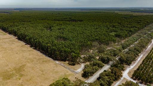 1834 Wattle Range Road, Wattle Range SA 5280