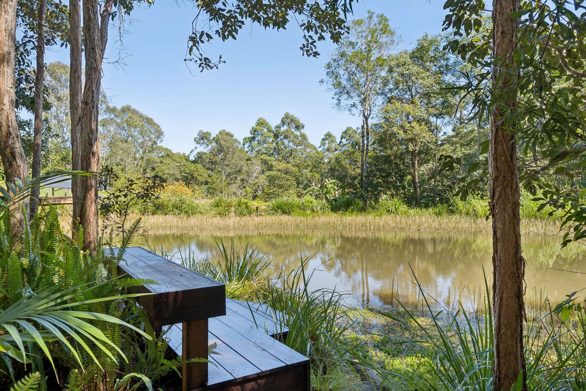 38 Seib Road, Eumundi For Sale by Farmbuy.com - image 29