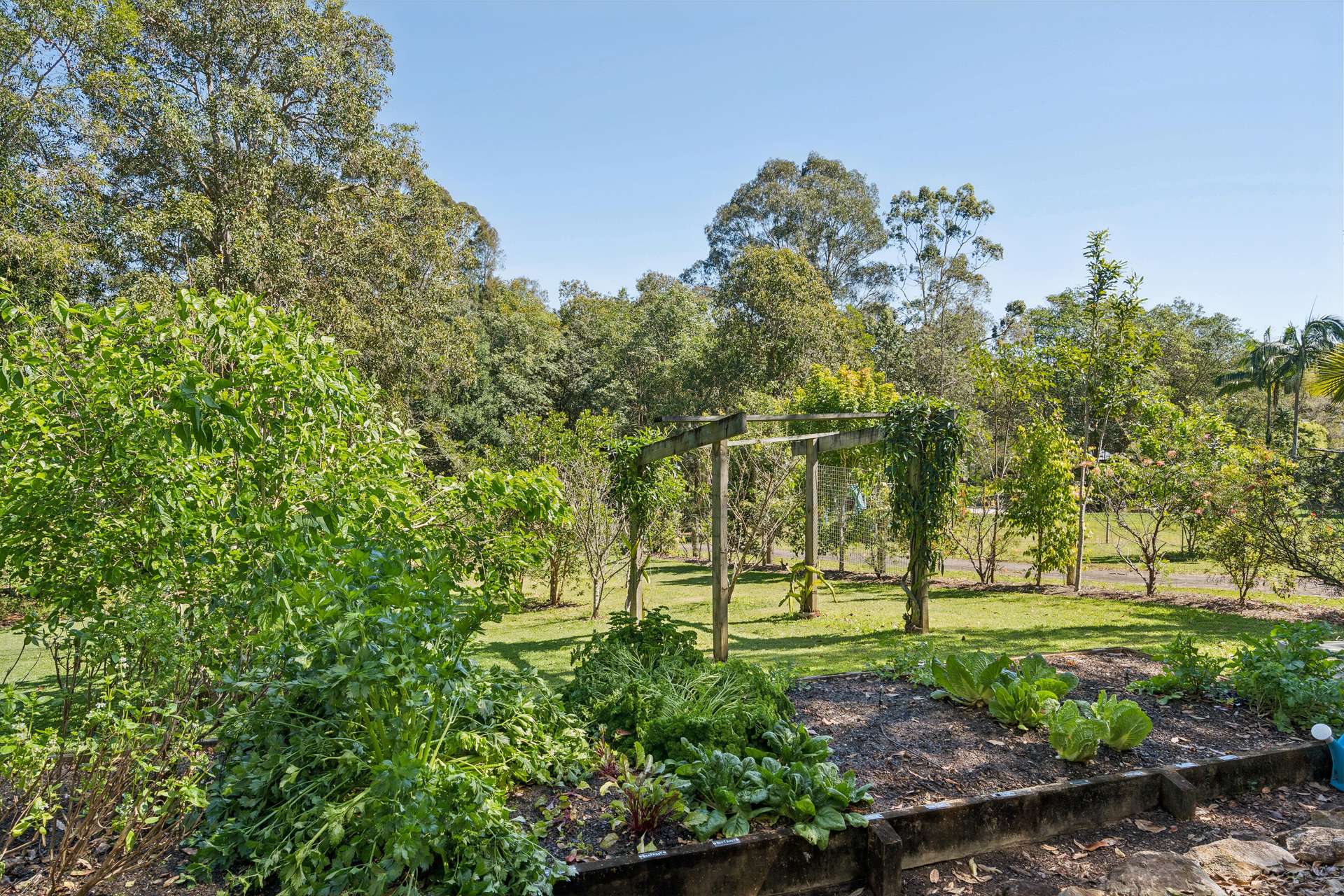 38 Seib Road, Eumundi For Sale by Farmbuy.com - image 30