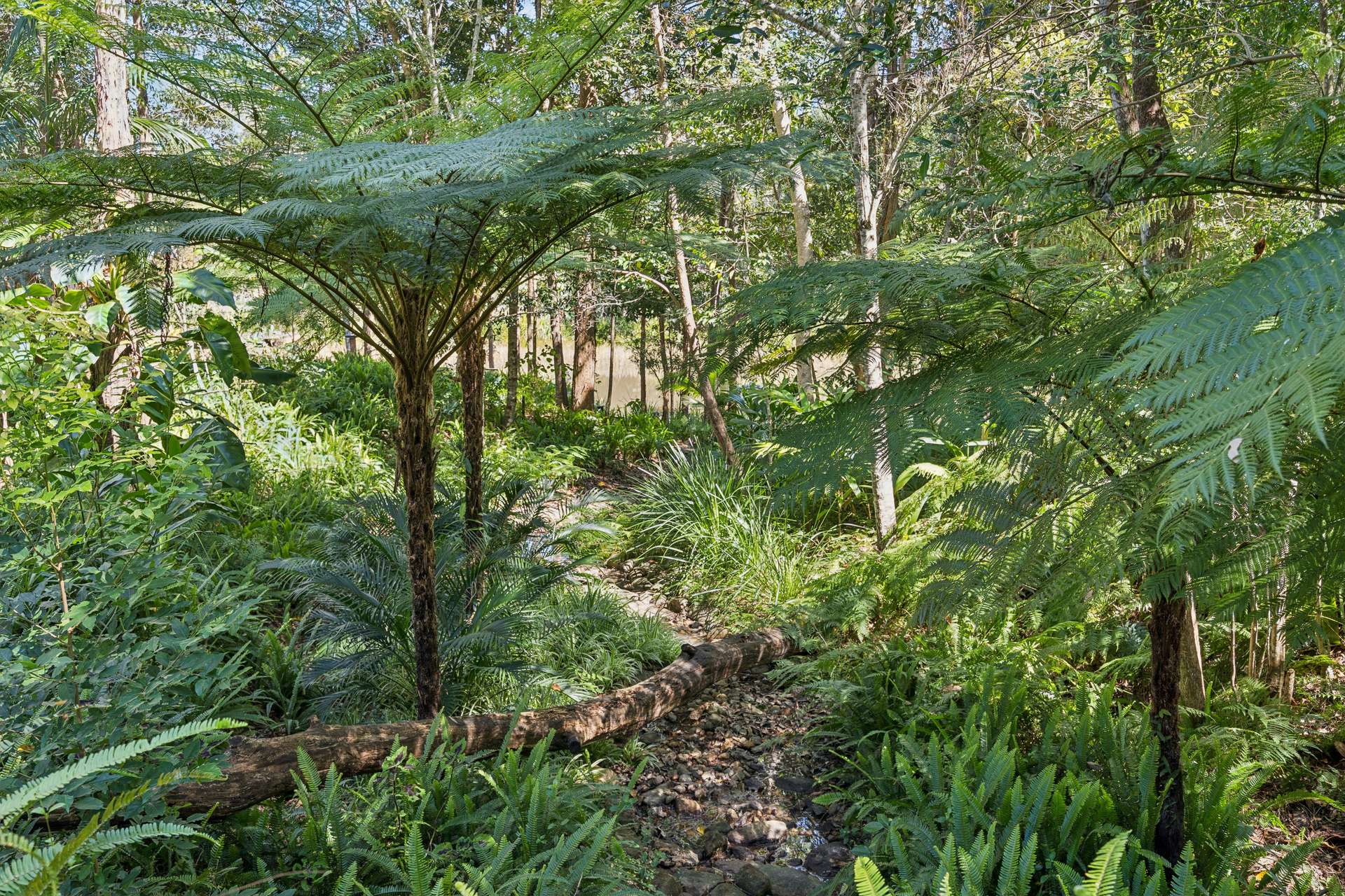 38 Seib Road, Eumundi For Sale by Farmbuy.com - image 28