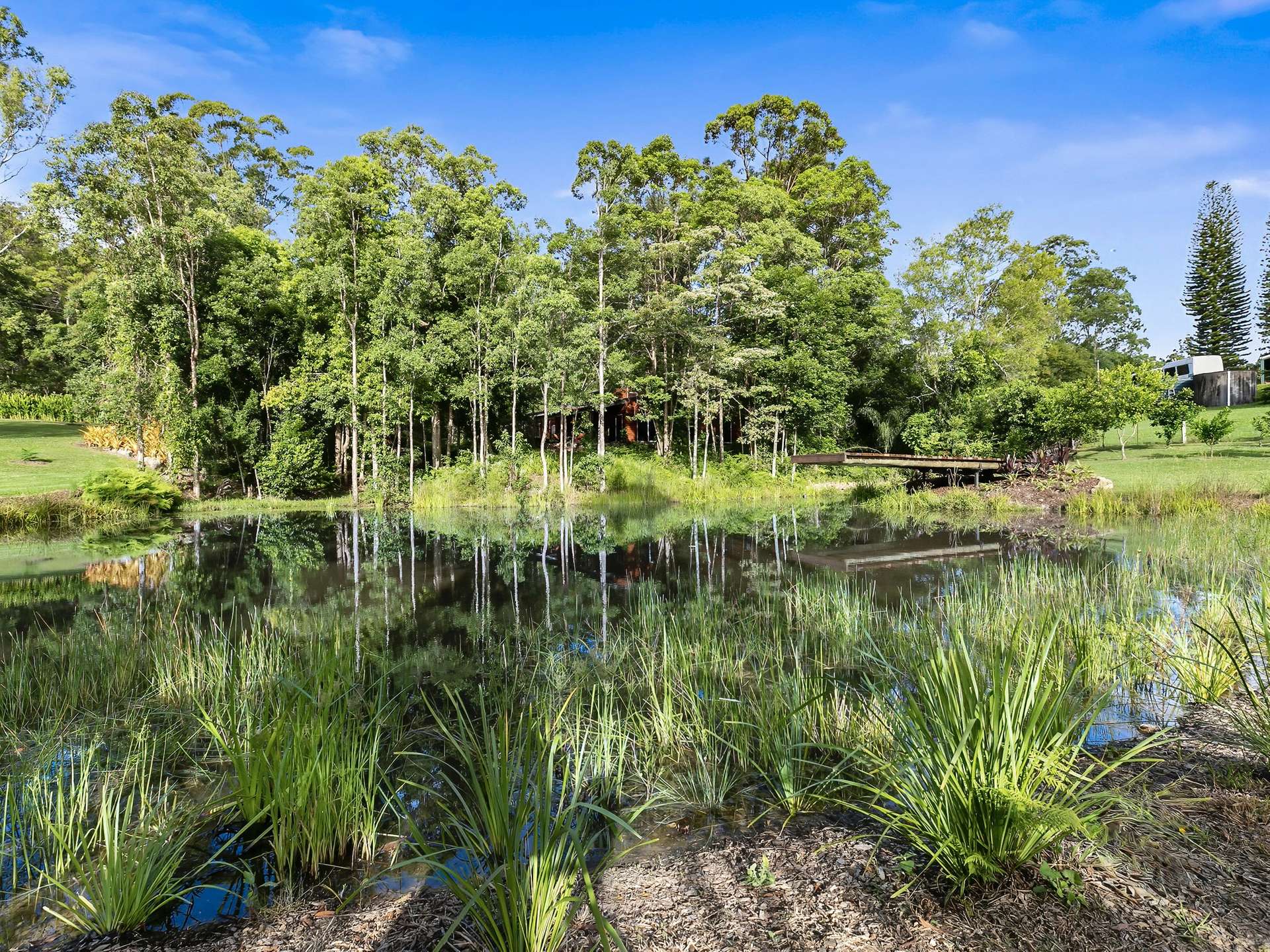 38 Seib Road, Eumundi For Sale by Farmbuy.com - image 20