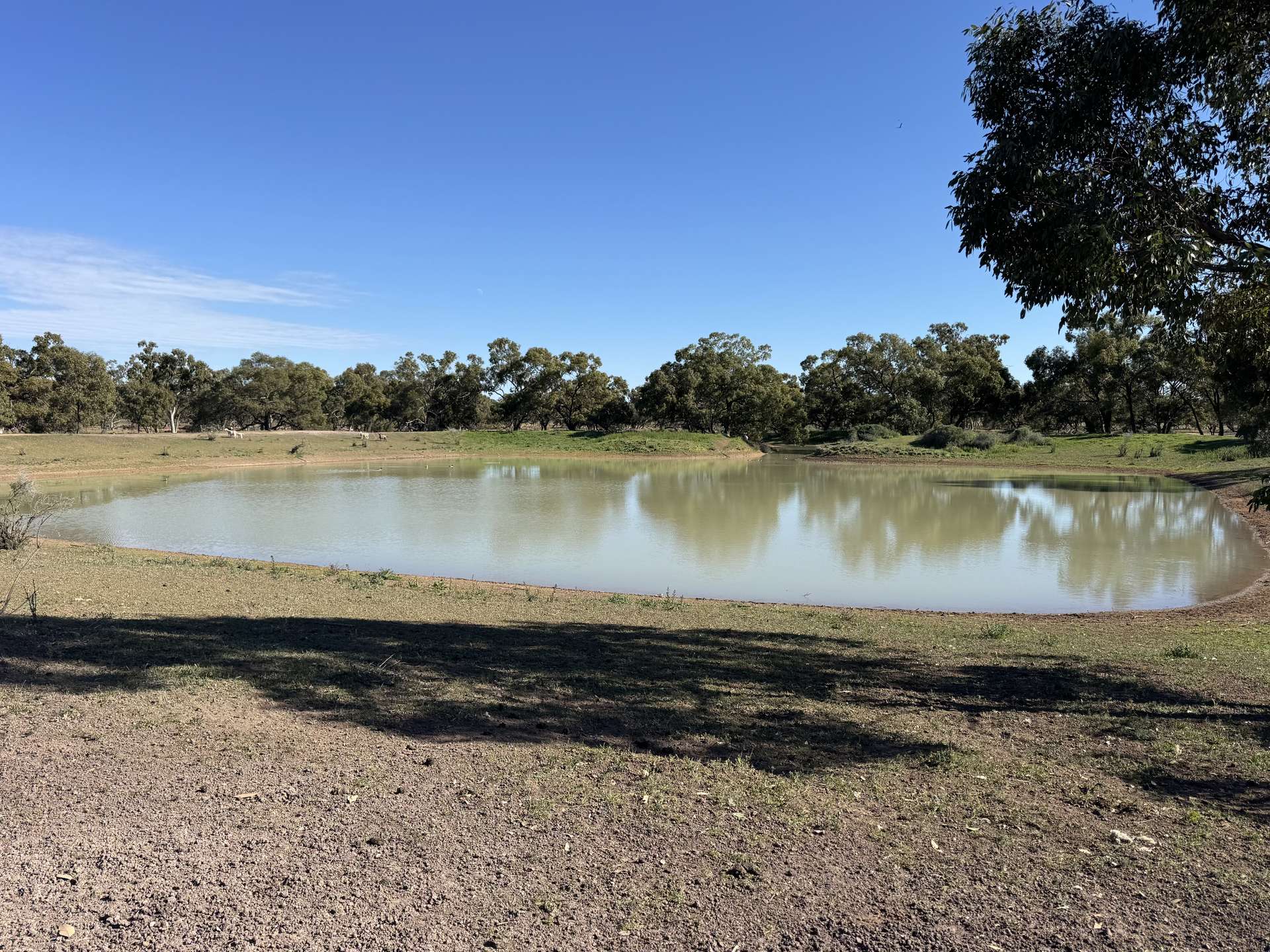 16468 Cobar Road, Ivanhoe For Sale by Farmbuy.com - image 2