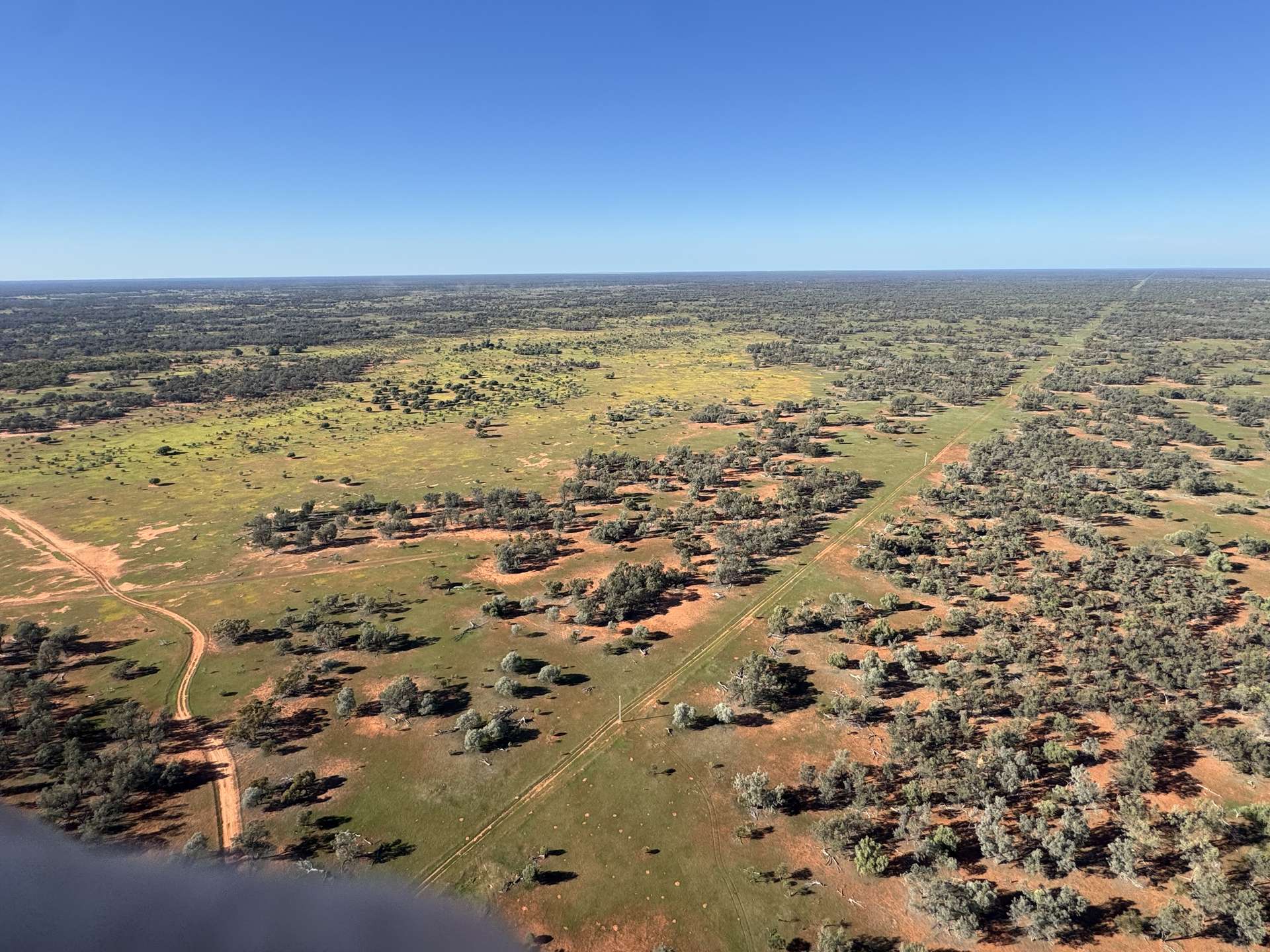 16468 Cobar Road, Ivanhoe For Sale by Farmbuy.com - image 11
