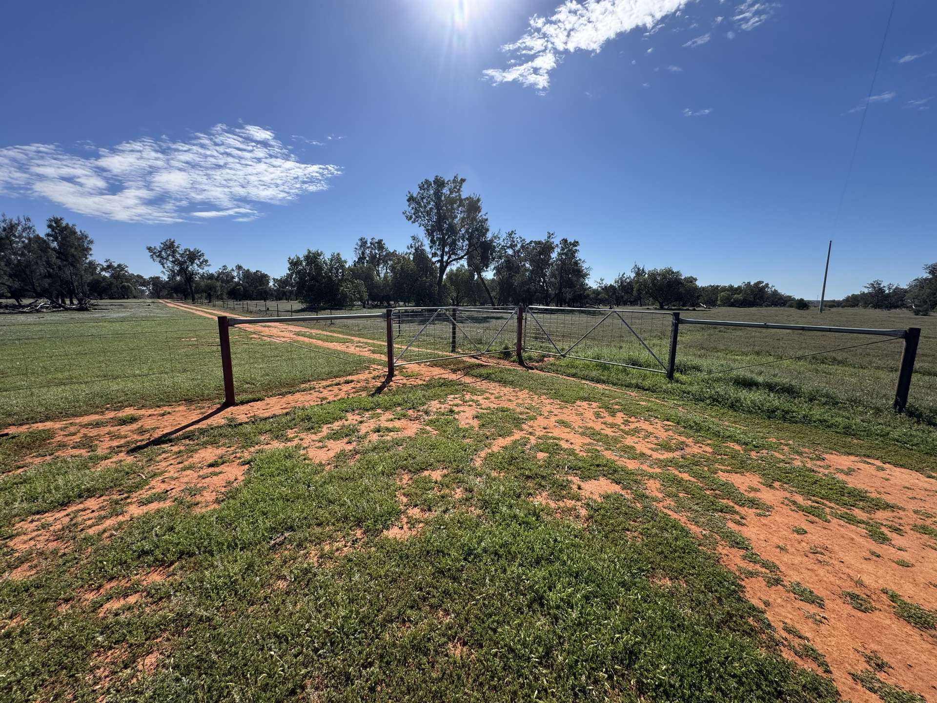 16468 Cobar Road, Ivanhoe For Sale by Farmbuy.com - image 7