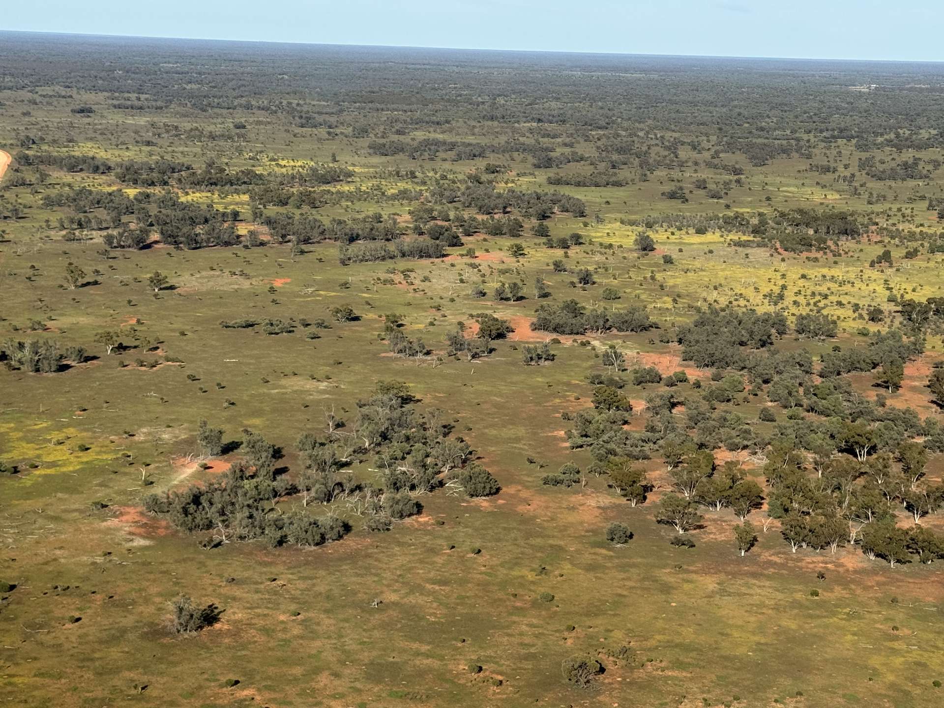 16468 Cobar Road, Ivanhoe For Sale by Farmbuy.com - image 4