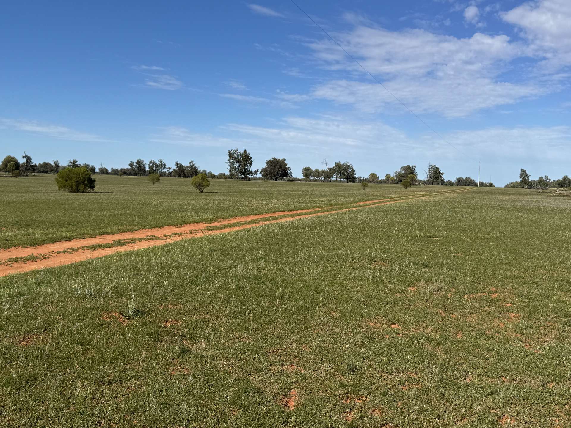 16468 Cobar Road, Ivanhoe For Sale by Farmbuy.com - image 1
