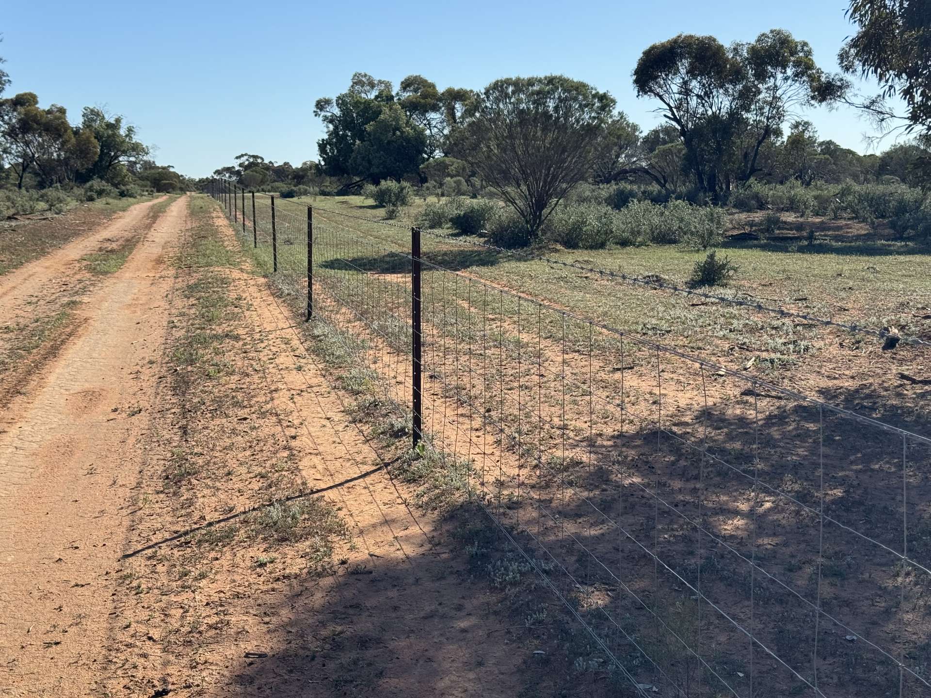 16468 Cobar Road, Ivanhoe For Sale by Farmbuy.com - image 6