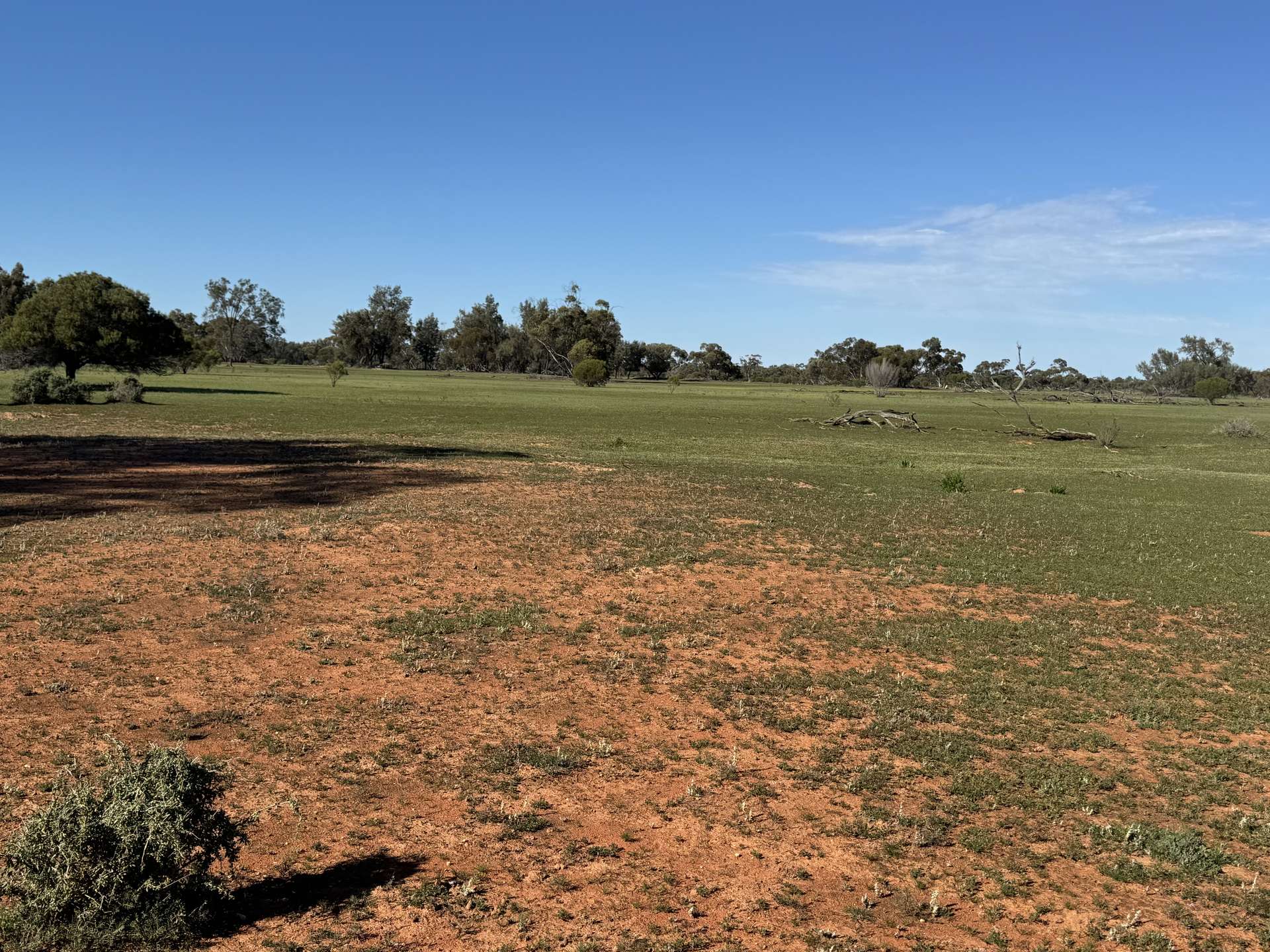 16468 Cobar Road, Ivanhoe For Sale by Farmbuy.com - image 12