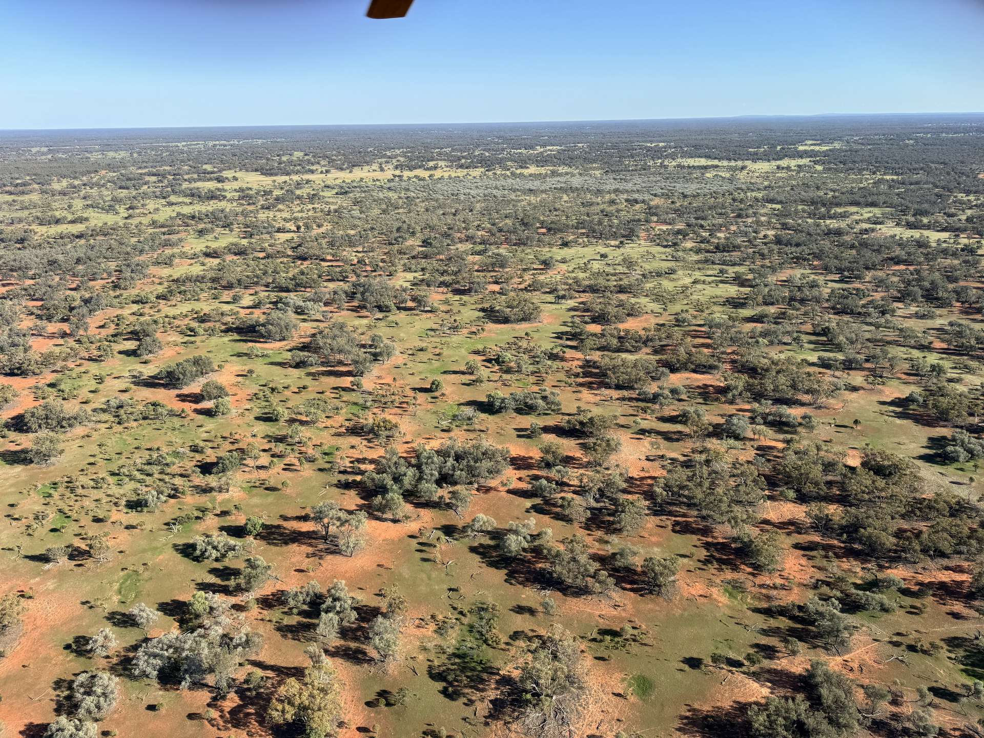 16468 Cobar Road, Ivanhoe For Sale by Farmbuy.com - image 13