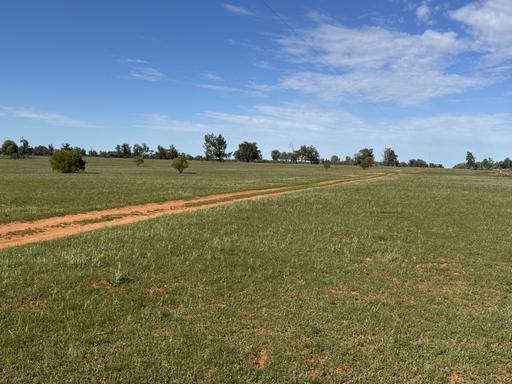 16468 Cobar Road, Ivanhoe NSW 2878
