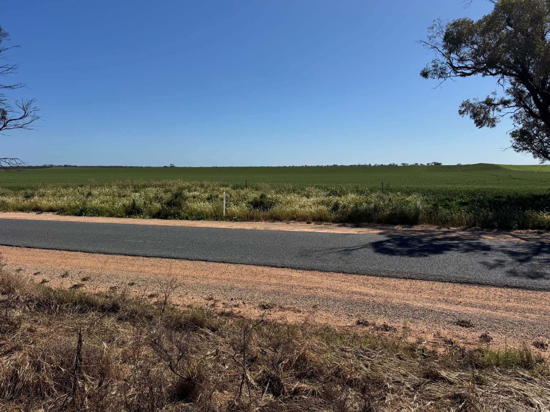 00 Chillingollah Road, Polisbet For Sale by Farmbuy.com - image 3