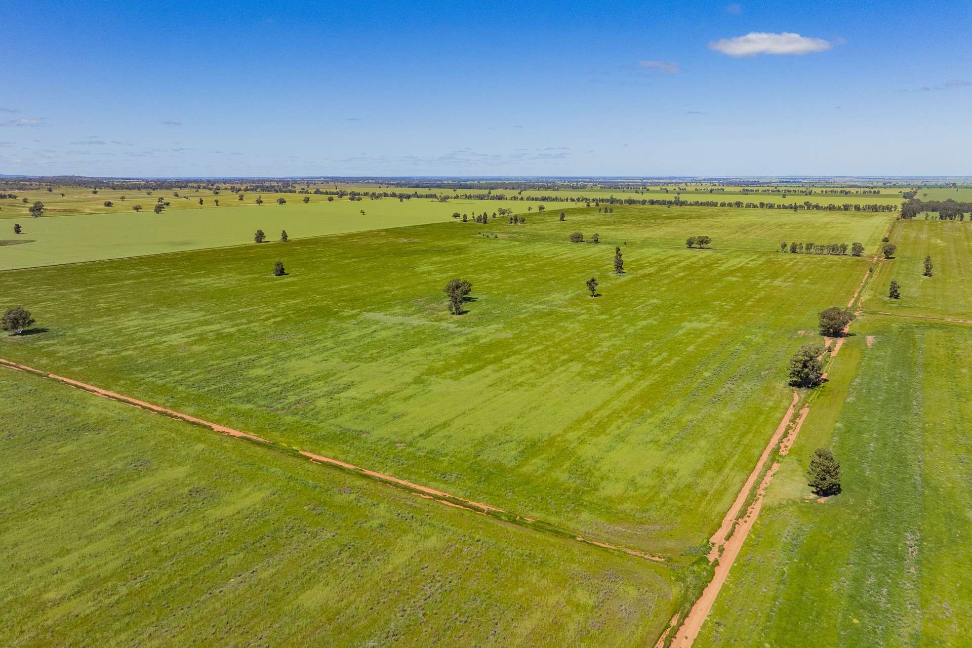 584 Willows Road, Ardlethan For Sale by Farmbuy.com - image 2