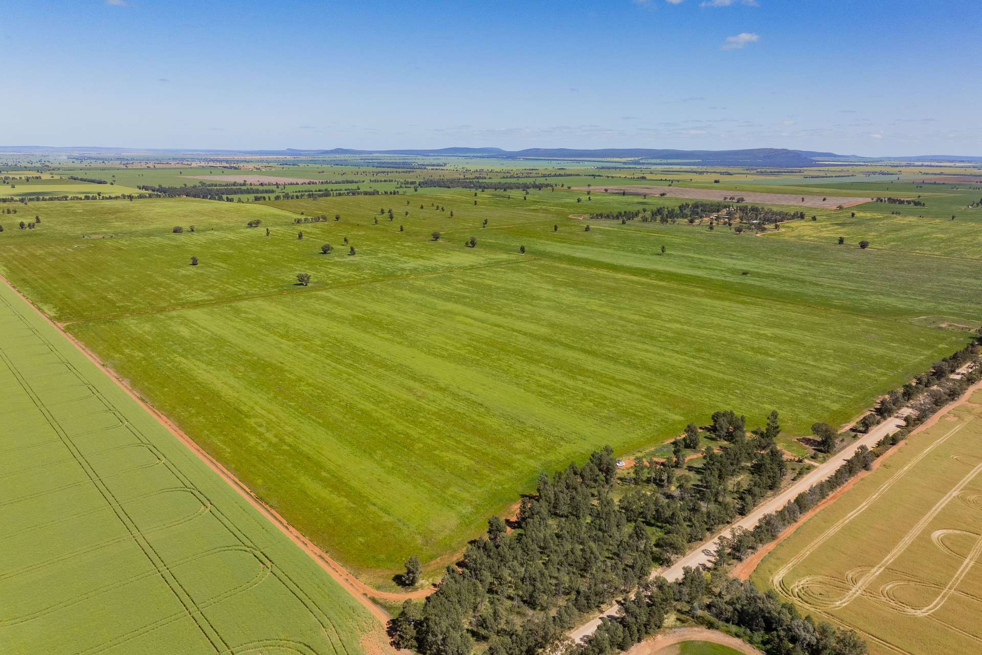 584 Willows Road, Ardlethan For Sale by Farmbuy.com - image 5
