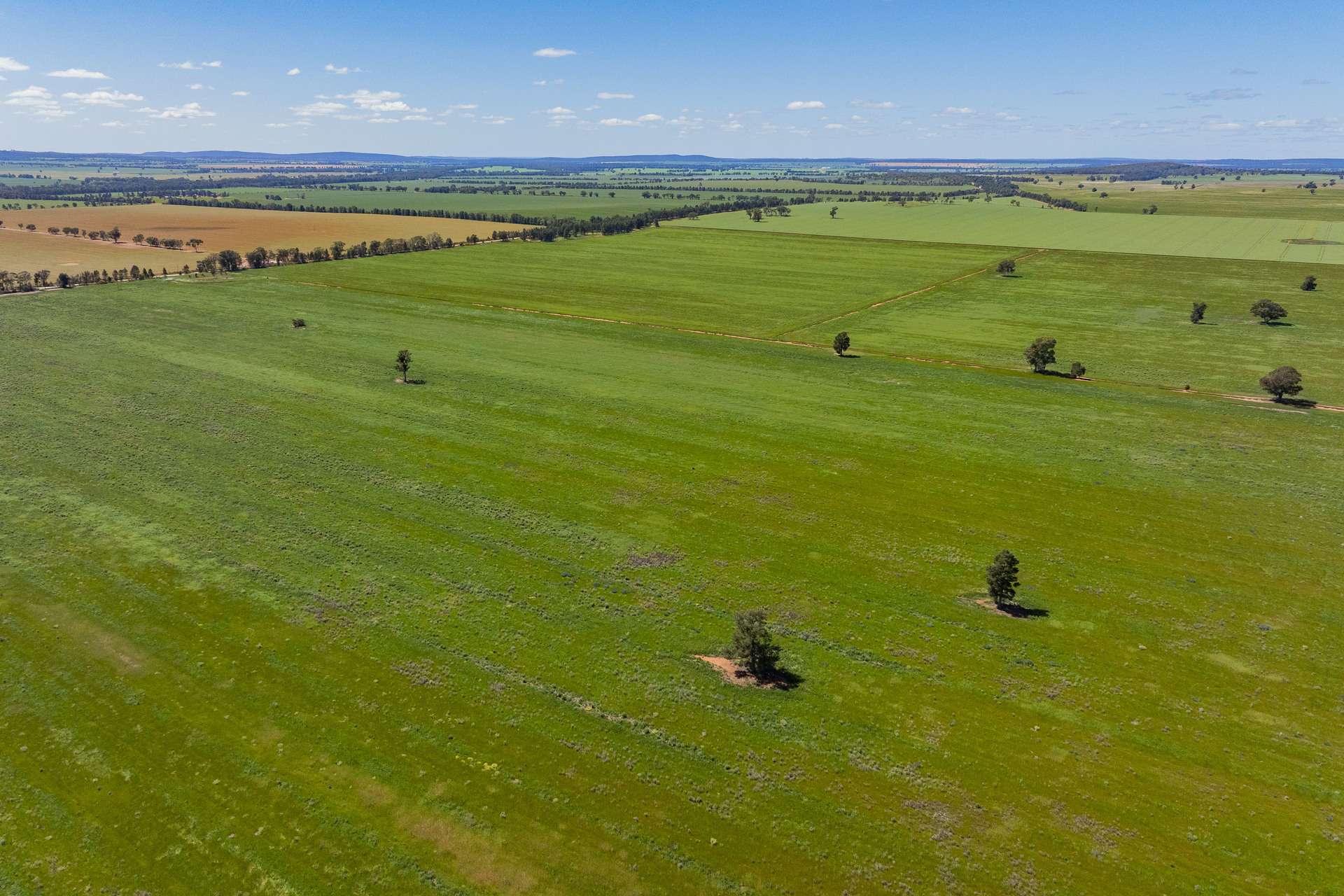 584 Willows Road, Ardlethan For Sale by Farmbuy.com - image 1