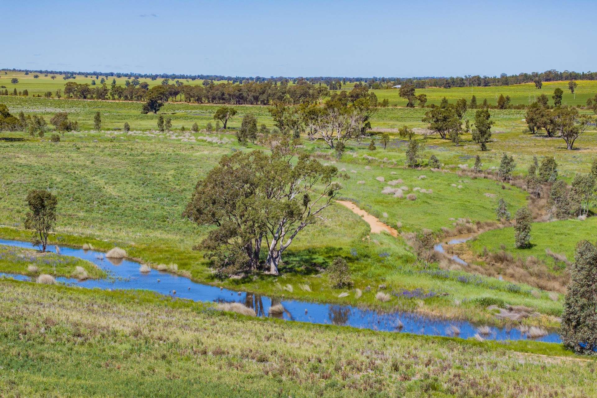 584 Willows Road, Ardlethan For Sale by Farmbuy.com - image 9