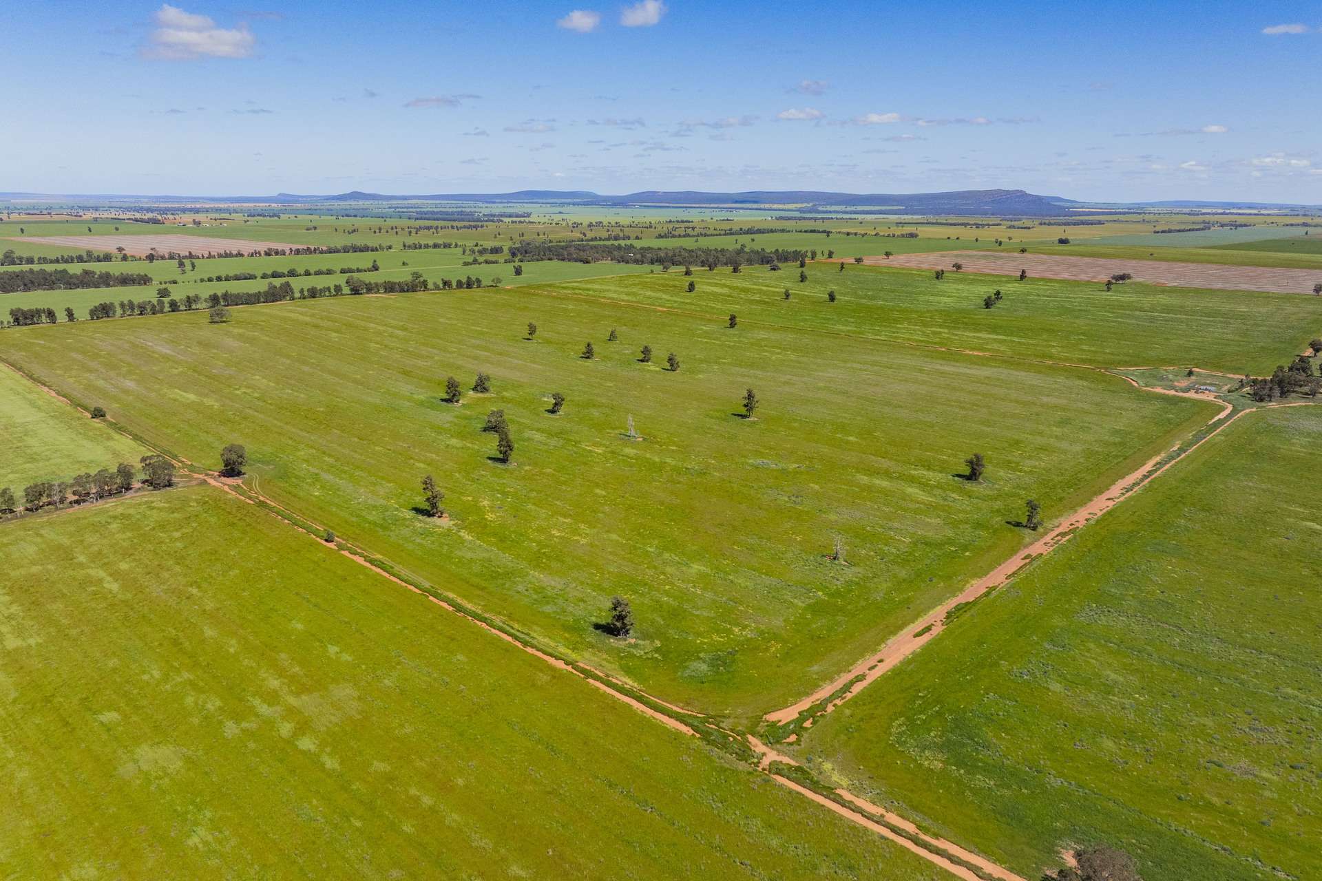 584 Willows Road, Ardlethan For Sale by Farmbuy.com - image 7
