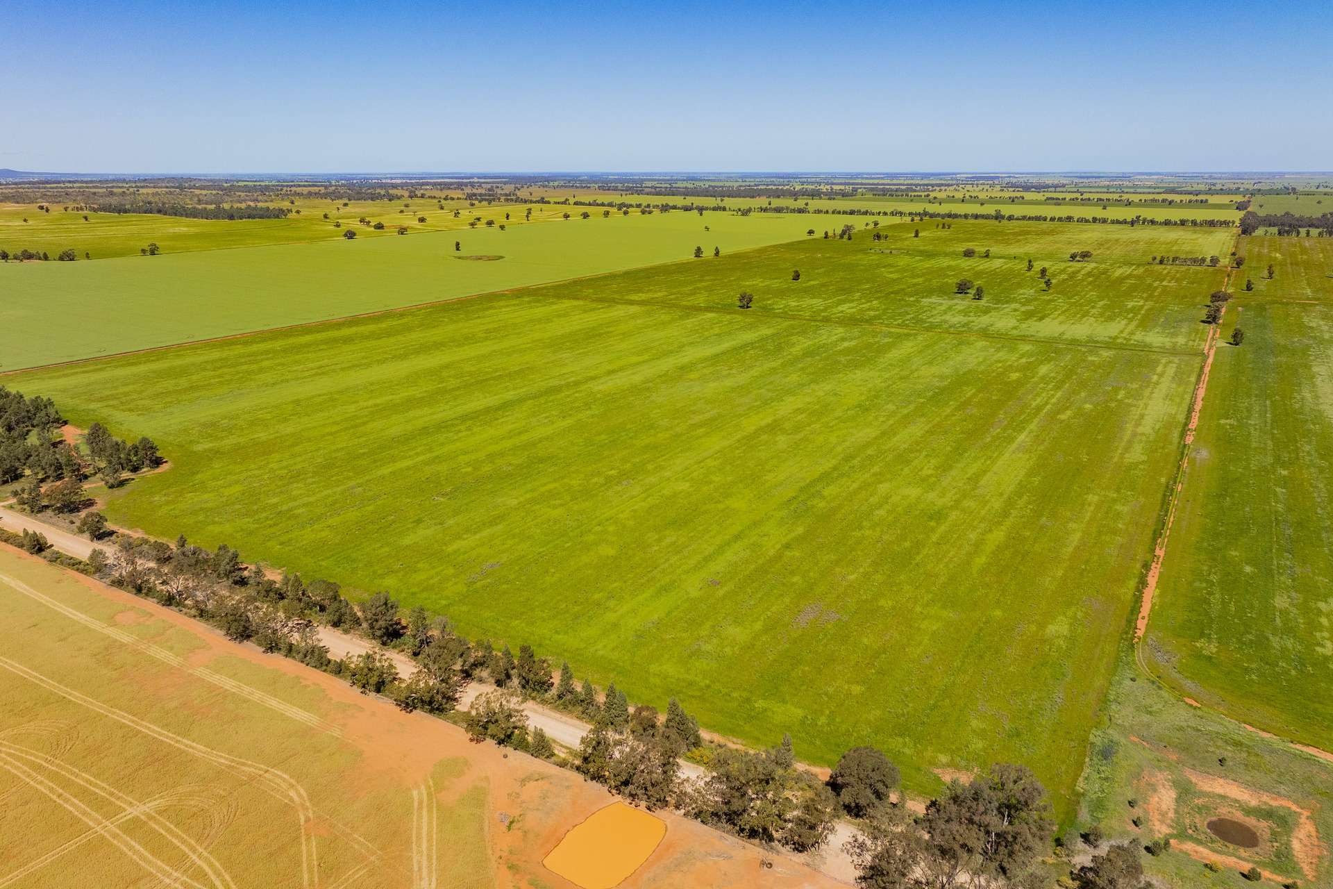 584 Willows Road, Ardlethan For Sale by Farmbuy.com - image 3
