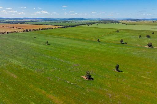 584 Willows Road, Ardlethan NSW 2665