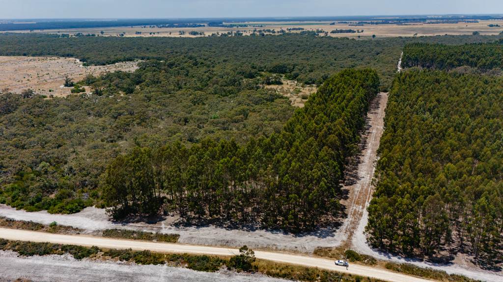 137 Sweetmans Lane, Short SA 5279