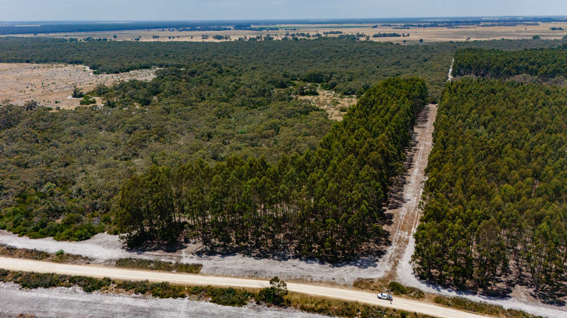 137 Sweetmans Lane, Short For Sale by Farmbuy.com - image 1