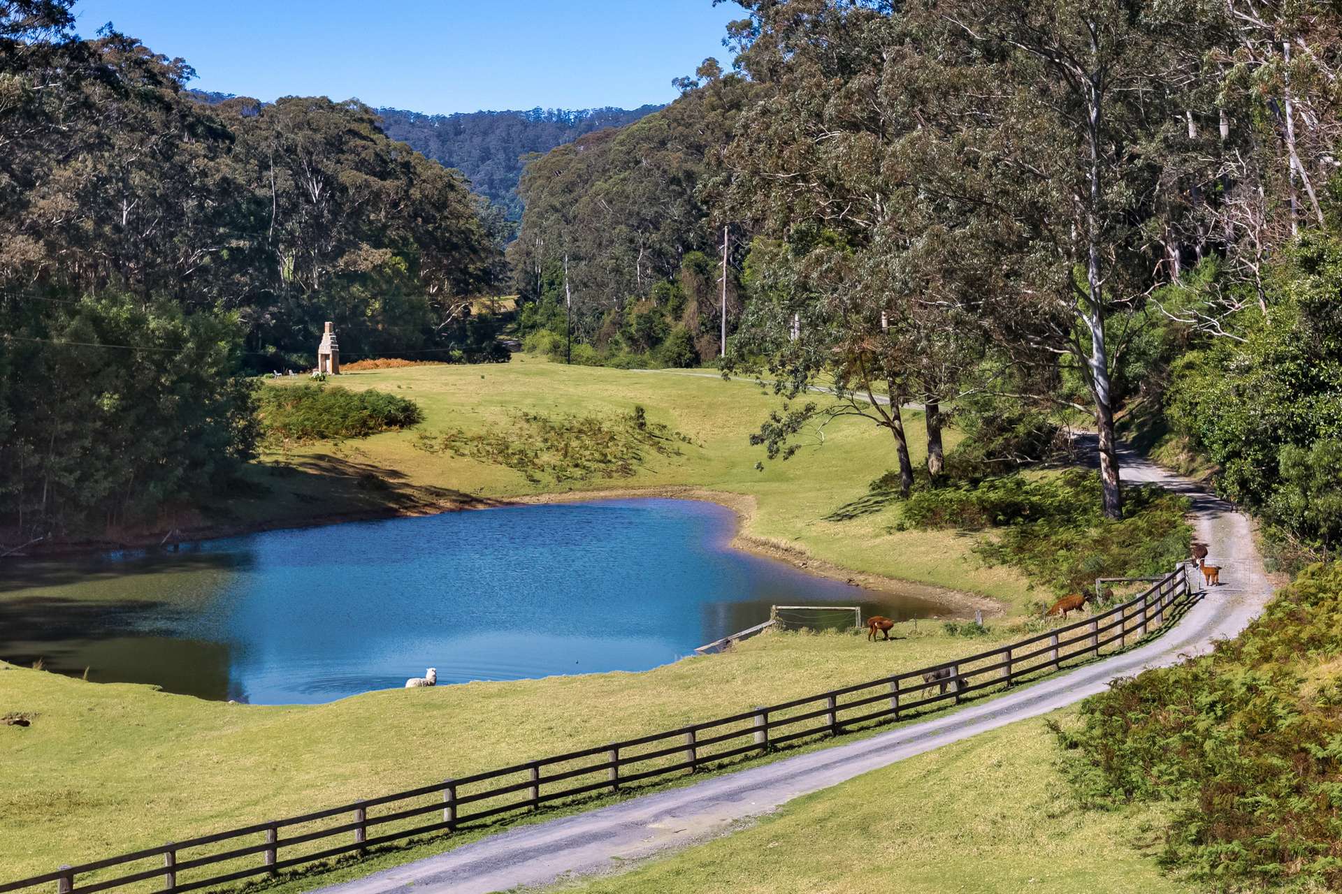 1045d Moss Vale Road, Beaumont For Sale by Farmbuy.com - image 23