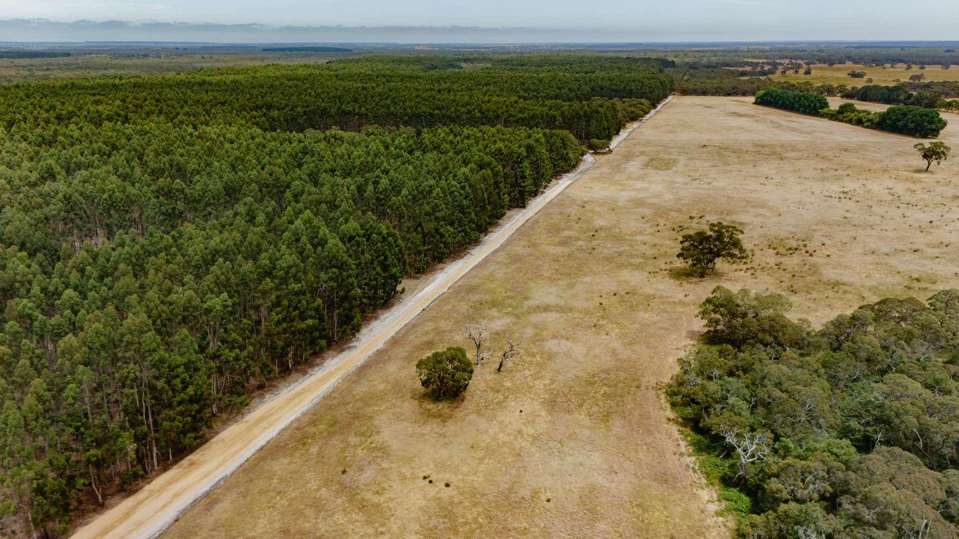 1830 Wattle Range Road, Wattle Range For Sale by Farmbuy.com - image 2