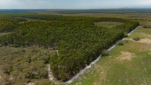 1830 Wattle Range Road, Wattle Range SA 5280