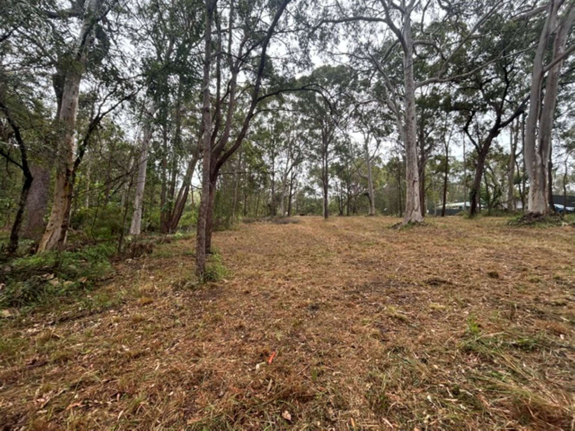 22-24 Wandoo Avenue, Macleay Island For Sale by Farmbuy.com - image 4