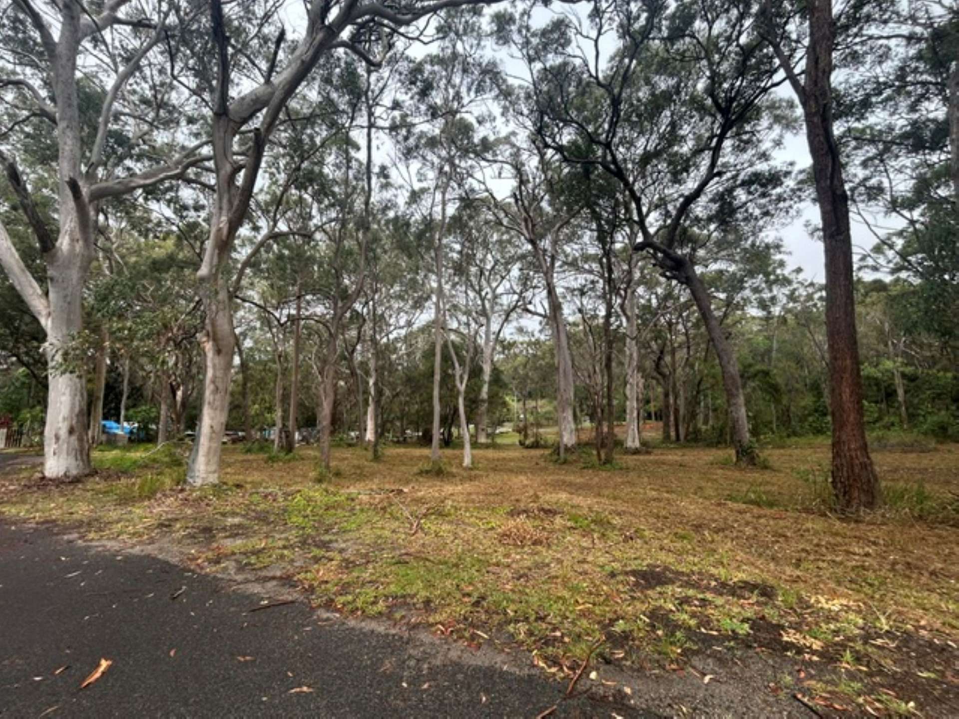 22-24 Wandoo Avenue, Macleay Island For Sale by Farmbuy.com - image 3
