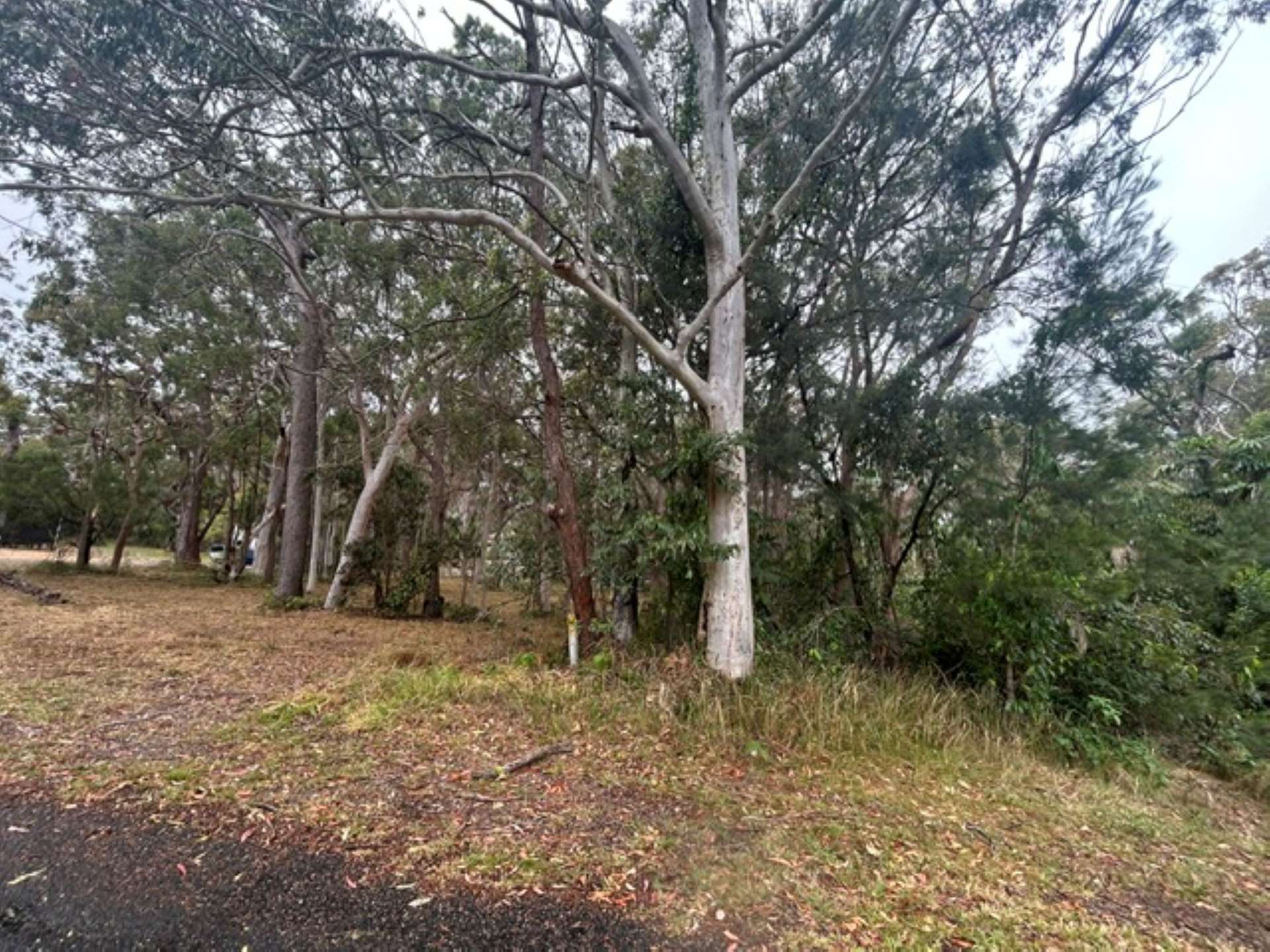 22-24 Wandoo Avenue, Macleay Island For Sale by Farmbuy.com - image 5