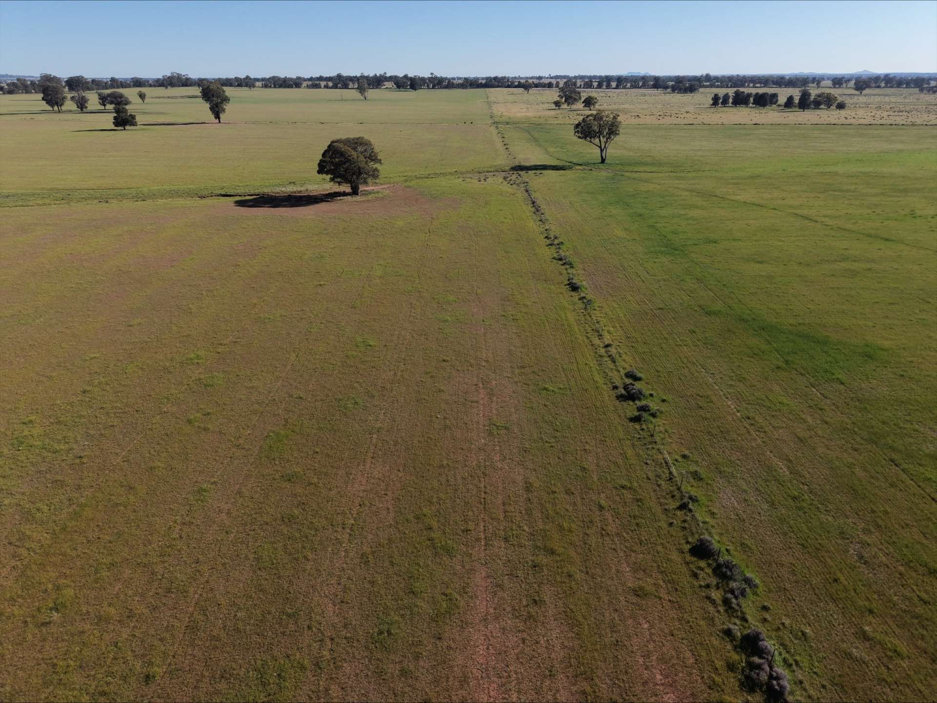90 COLLINS LANE, West Wyalong For Sale by Farmbuy.com - image 6