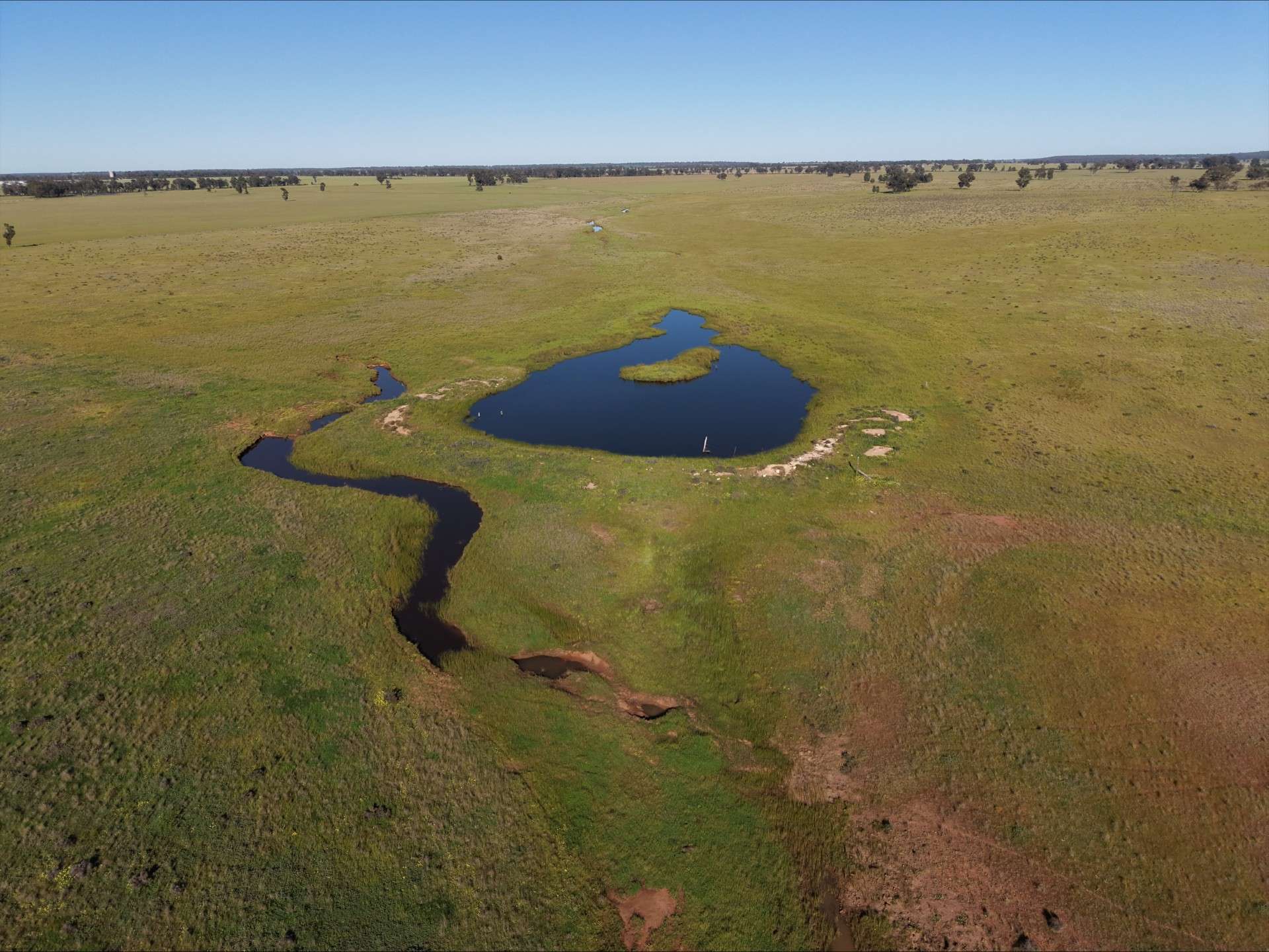 90 COLLINS LANE, West Wyalong For Sale by Farmbuy.com - image 10
