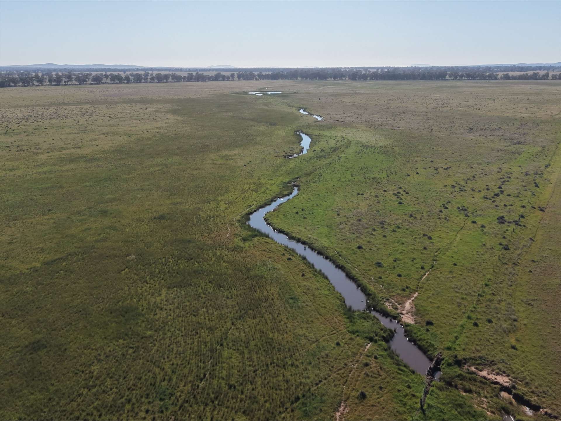 90 COLLINS LANE, West Wyalong For Sale by Farmbuy.com - image 5