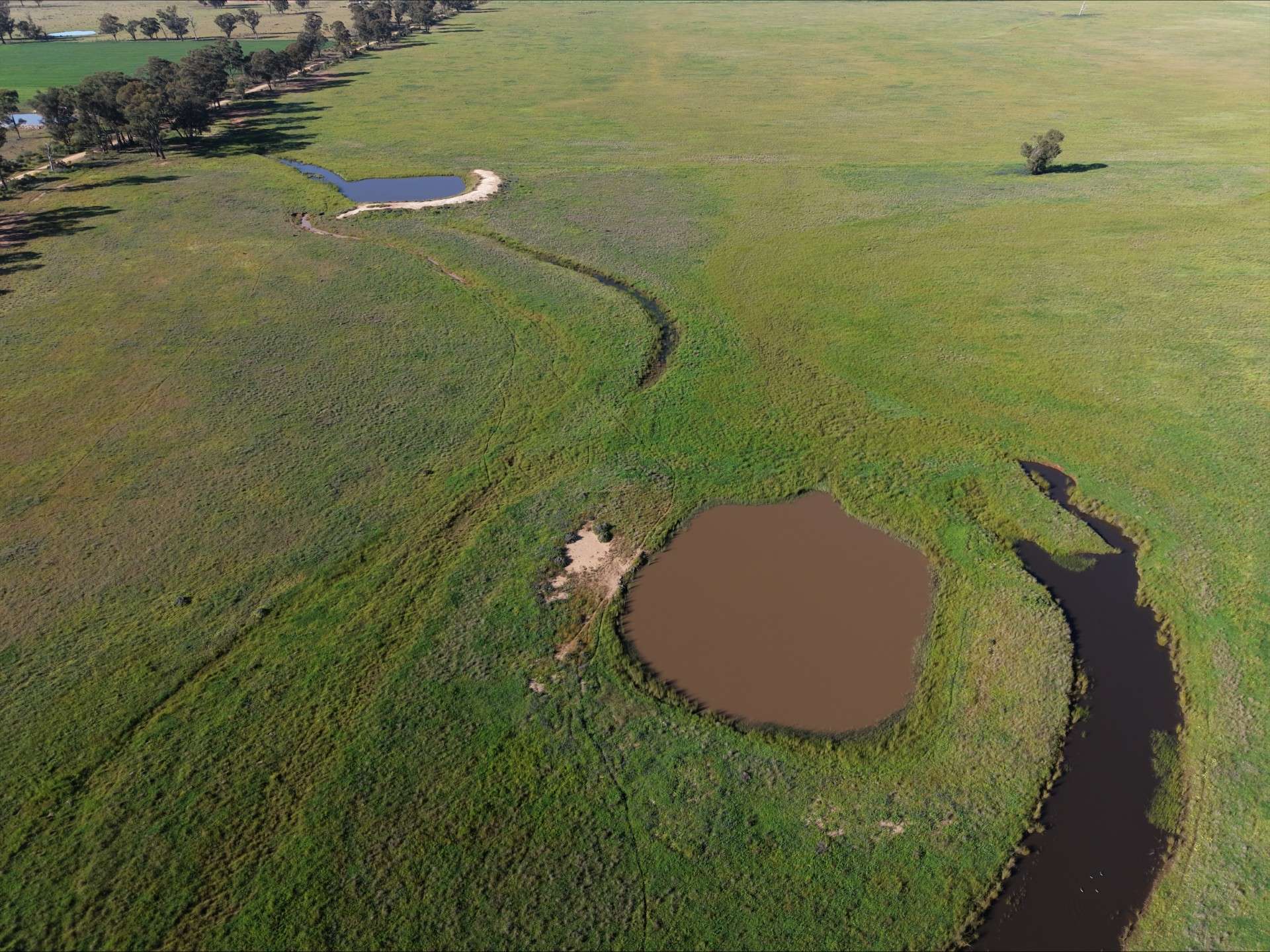 90 COLLINS LANE, West Wyalong For Sale by Farmbuy.com - image 2