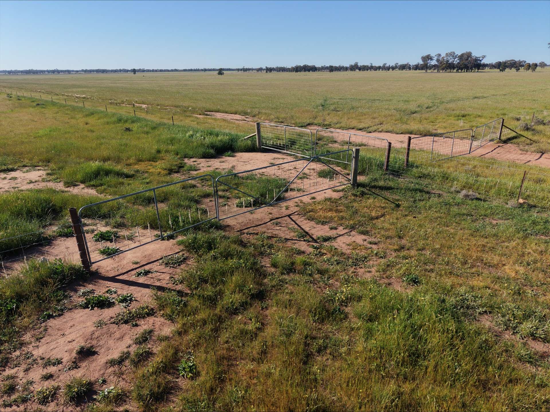 90 COLLINS LANE, West Wyalong For Sale by Farmbuy.com - image 9