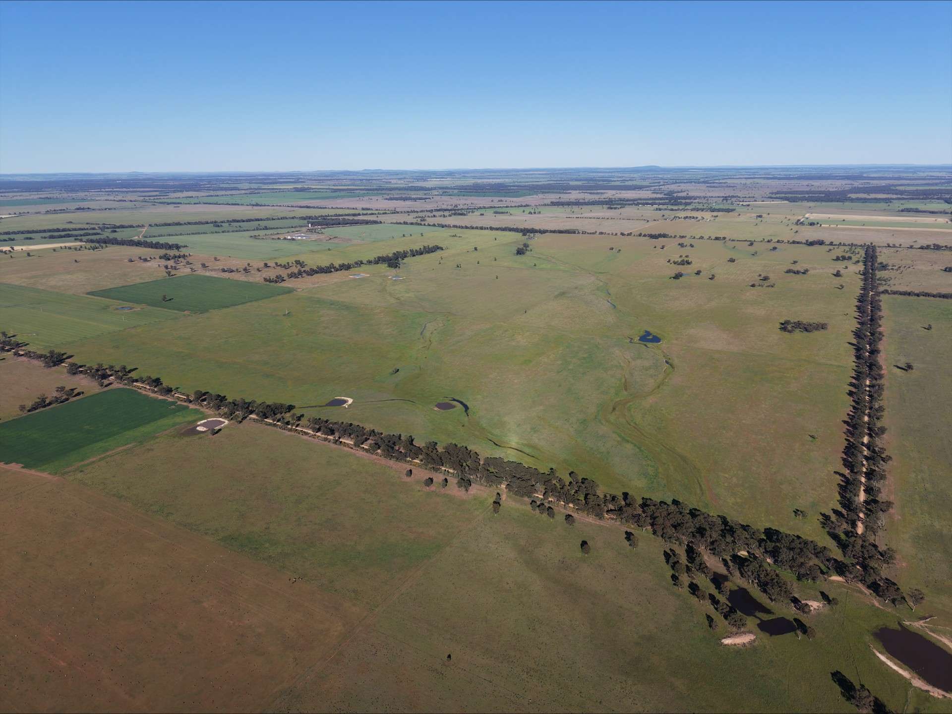90 COLLINS LANE, West Wyalong For Sale by Farmbuy.com - image 1