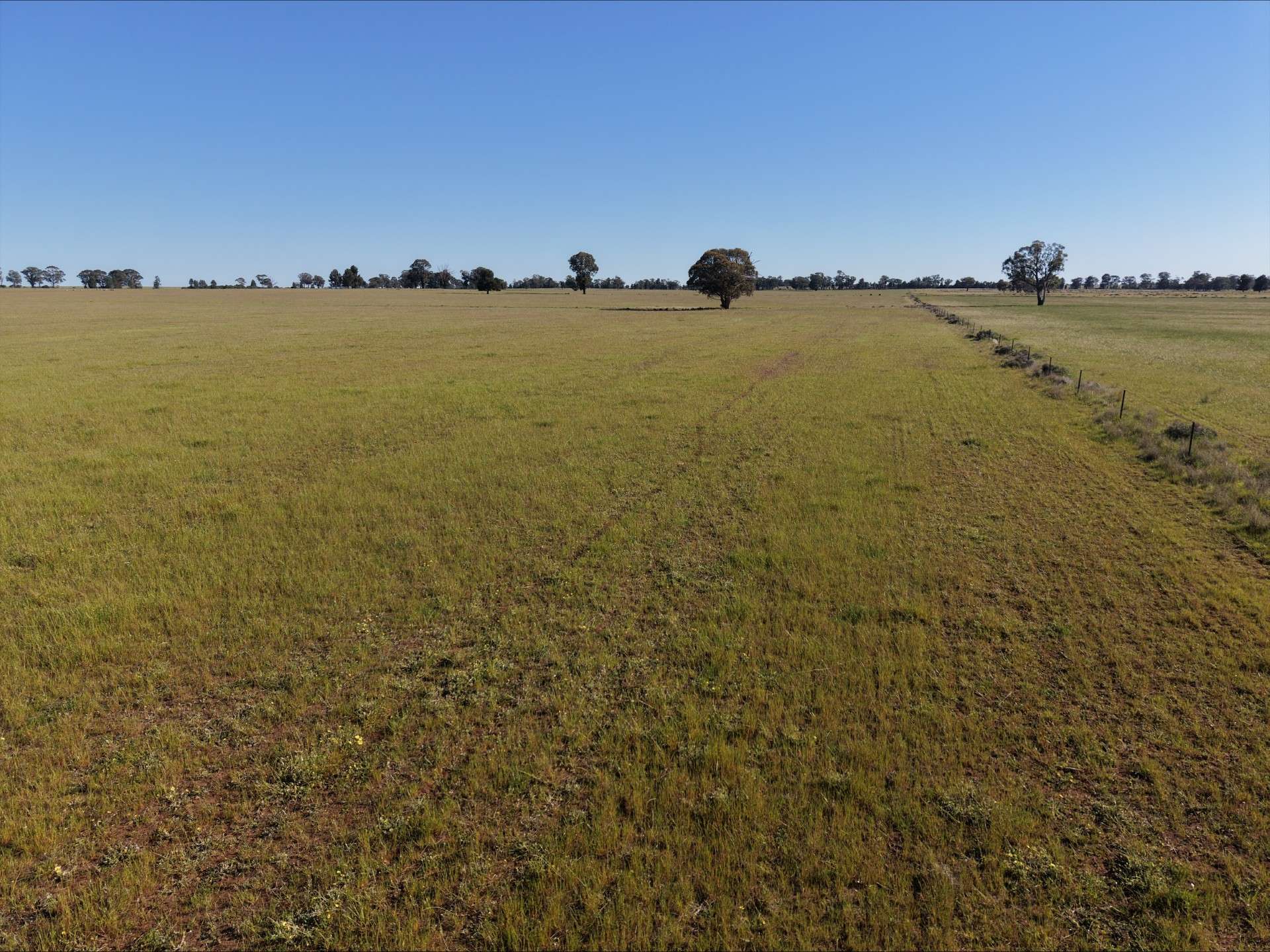 90 COLLINS LANE, West Wyalong For Sale by Farmbuy.com - image 11