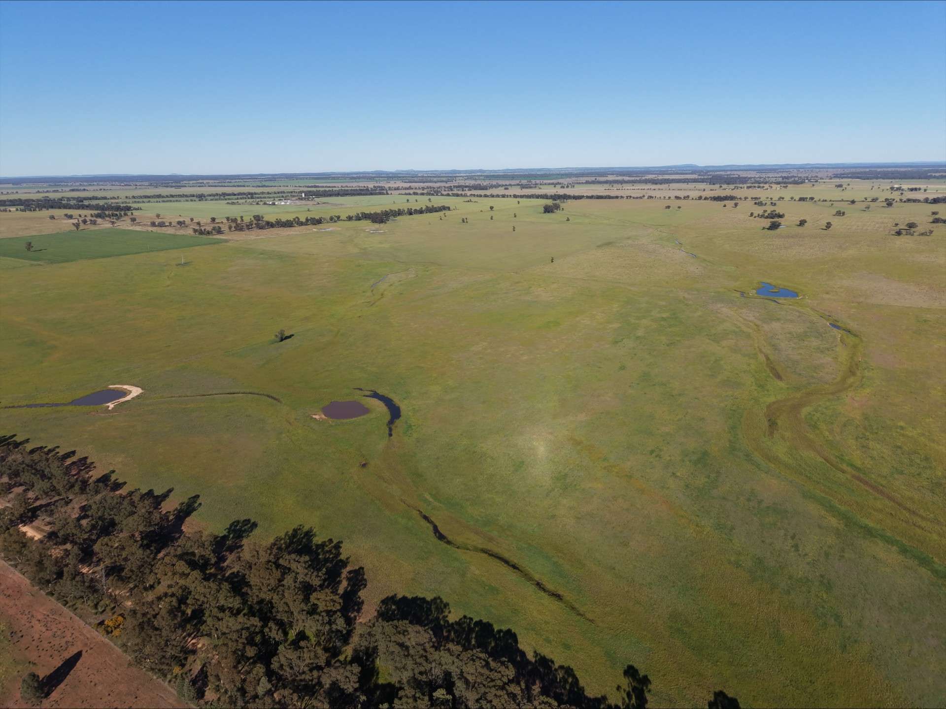 90 COLLINS LANE, West Wyalong For Sale by Farmbuy.com - image 8