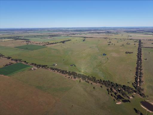 90 COLLINS LANE, West Wyalong NSW 2671