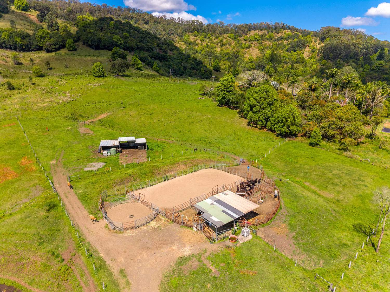 218 Bishops Creek Road, Coffee Camp For Sale by Farmbuy.com - image 13