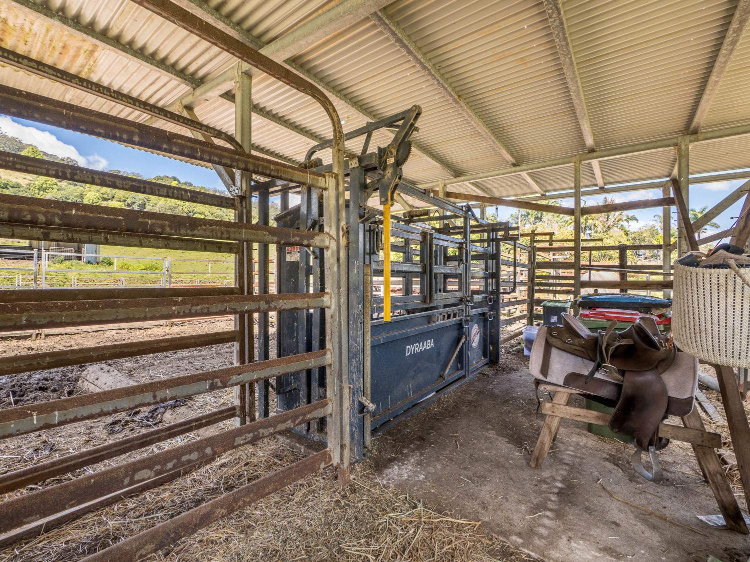 218 Bishops Creek Road, Coffee Camp For Sale by Farmbuy.com - image 14