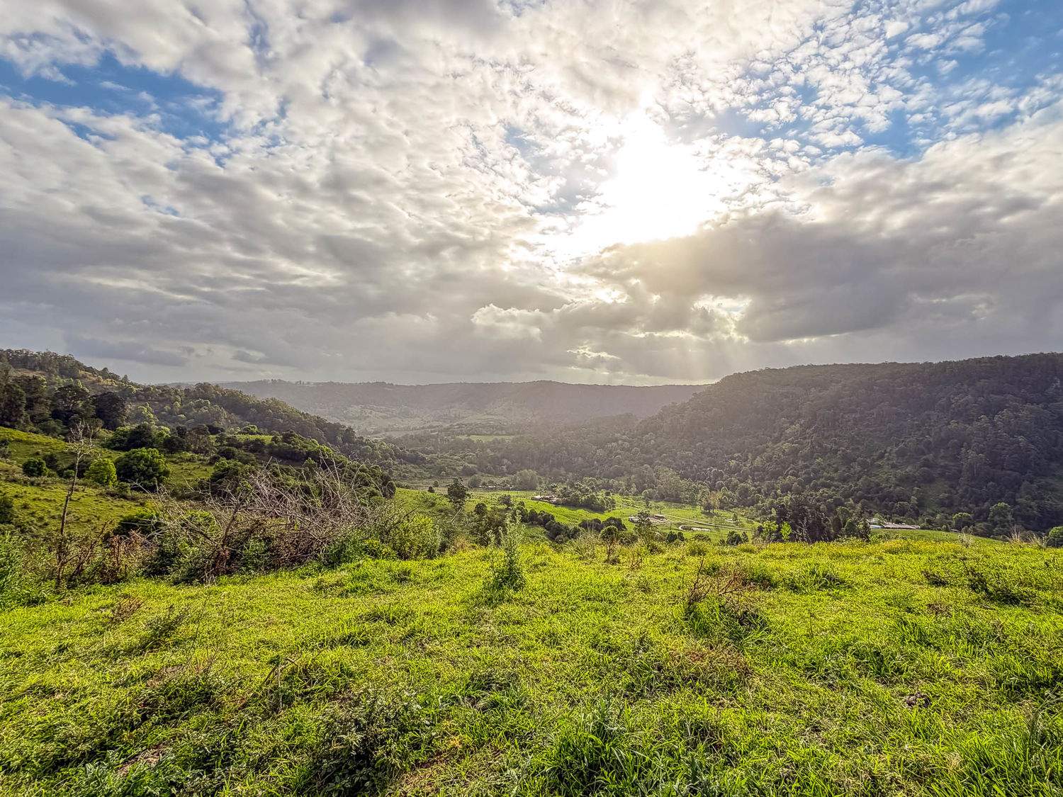 218 Bishops Creek Road, Coffee Camp For Sale by Farmbuy.com - image 23