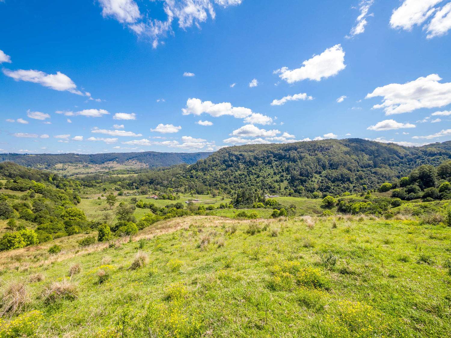 218 Bishops Creek Road, Coffee Camp For Sale by Farmbuy.com - image 15