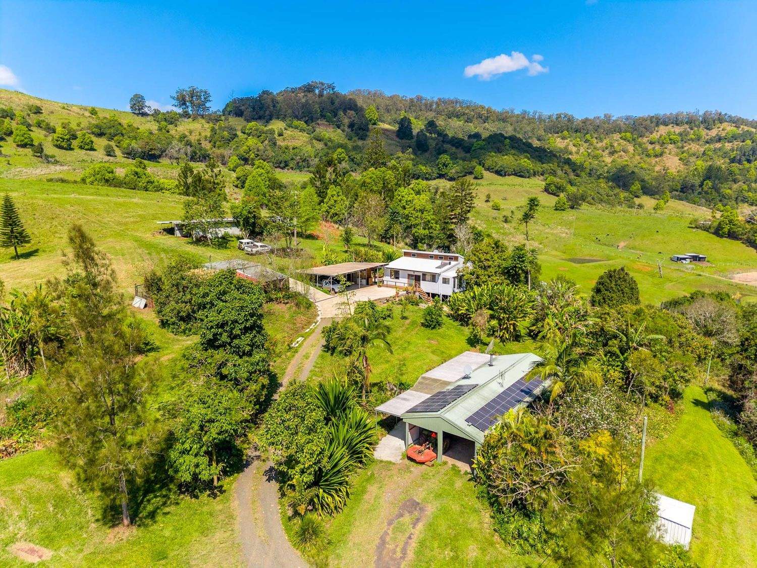 218 Bishops Creek Road, Coffee Camp For Sale by Farmbuy.com - image 22