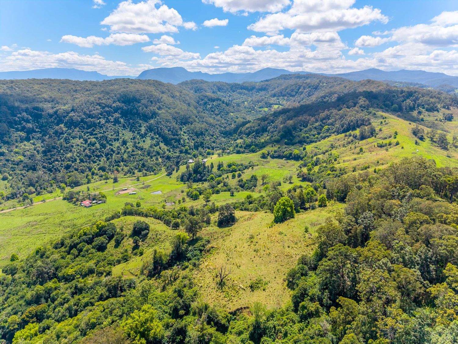 218 Bishops Creek Road, Coffee Camp For Sale by Farmbuy.com - image 18