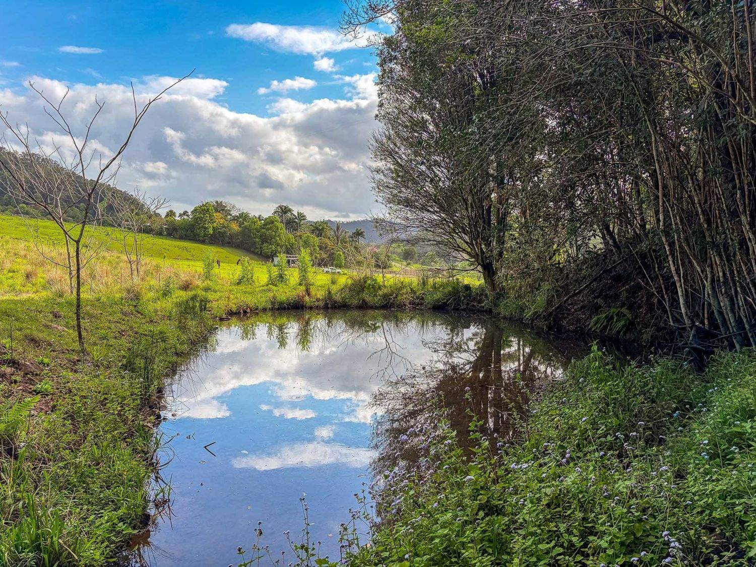 218 Bishops Creek Road, Coffee Camp For Sale by Farmbuy.com - image 17