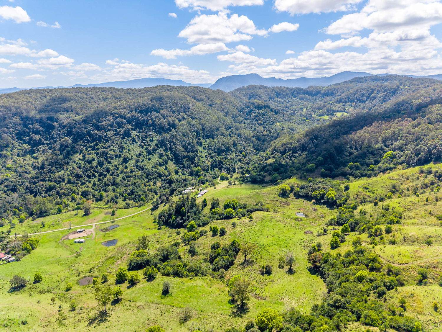 218 Bishops Creek Road, Coffee Camp For Sale by Farmbuy.com - image 21