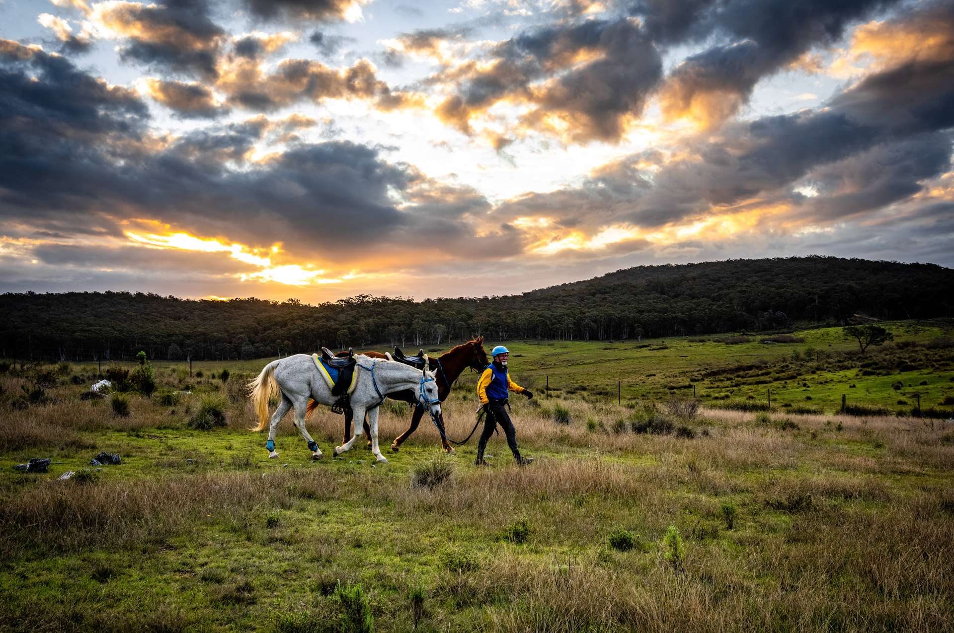 "Outlier Ranch", 404 Glengyle Road, Nanima Auction by Farmbuy.com - image 26